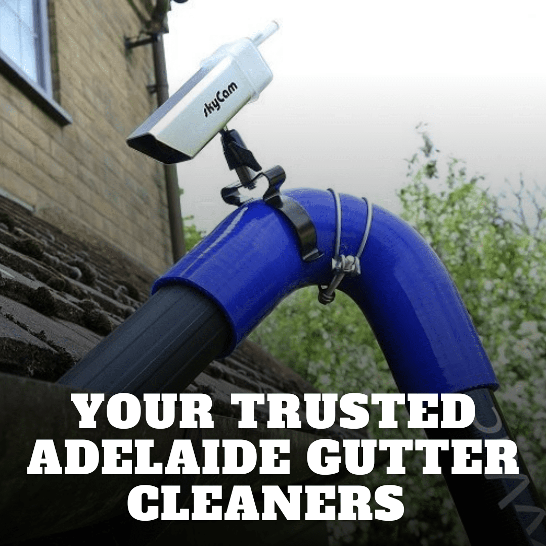 You are currently viewing Your Trusted Adelaide Gutter Cleaners