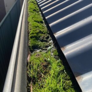 Gutter Cleaning Adelaide: Why Gutter Guards Are Pointless