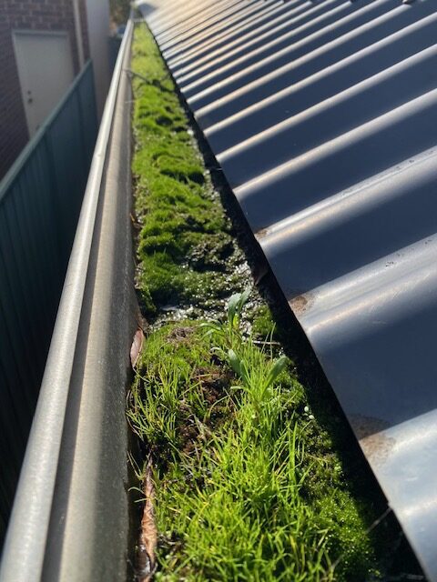 You are currently viewing Gutter Cleaning Adelaide: Why Gutter Guards Are Pointless